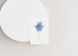 Neutraal (lavendel)