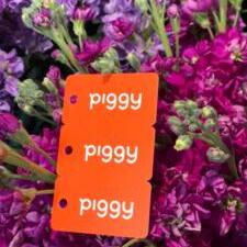 Sparen met Piggy Bloemen van Blok